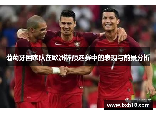 葡萄牙国家队在欧洲杯预选赛中的表现与前景分析